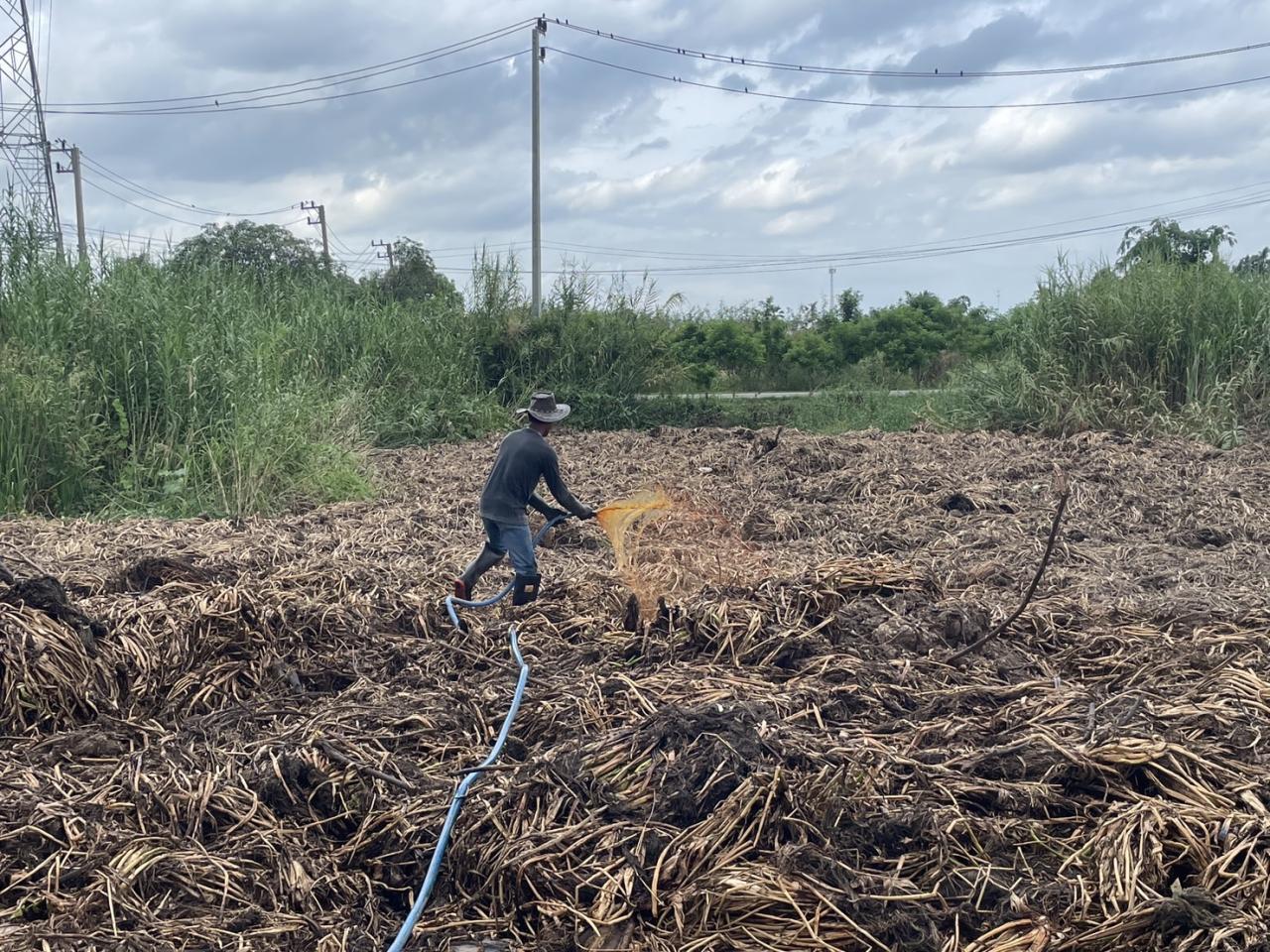 ภาพประกอบที่ 5