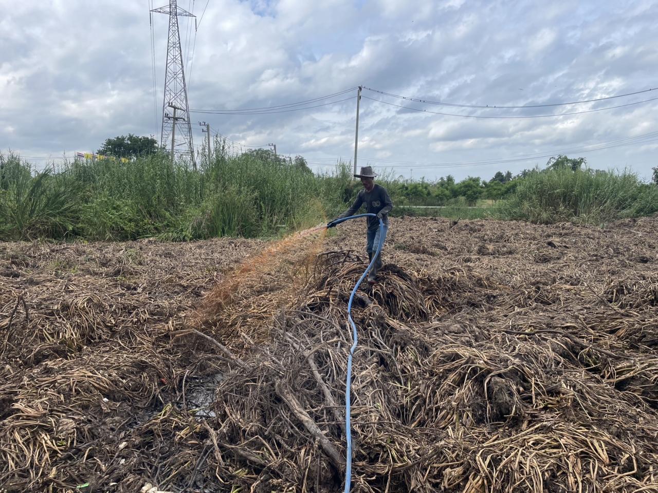 ภาพประกอบที่ 6
