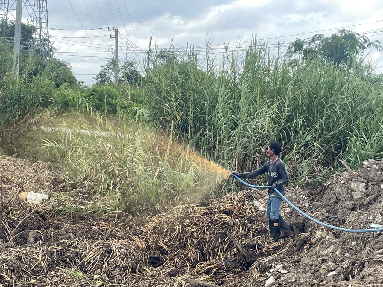 ภาพประกอบที่ 11