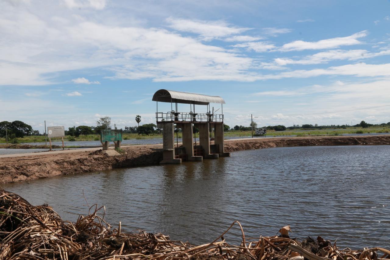 ภาพประกอบที่ 2