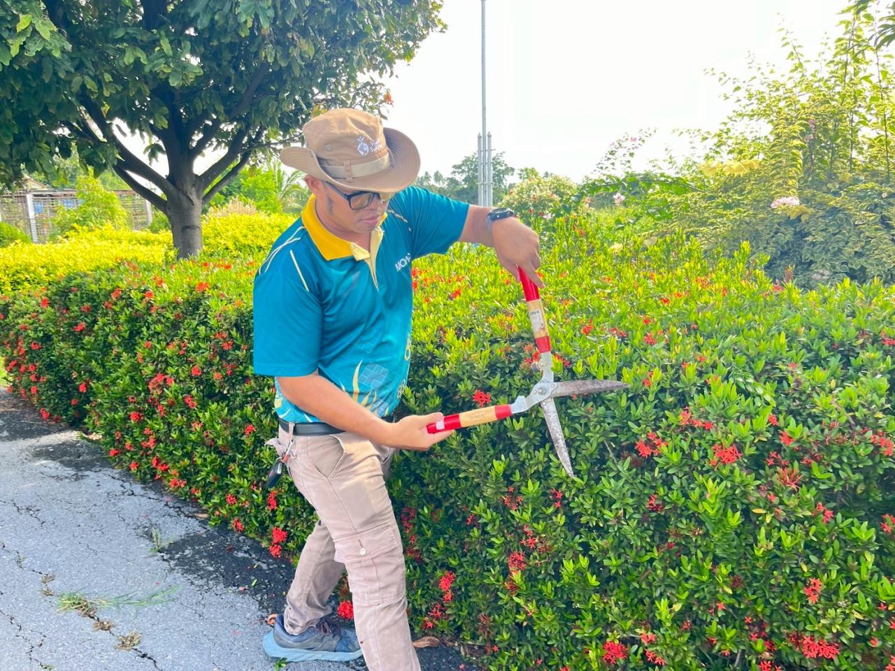 ภาพประกอบที่ 17