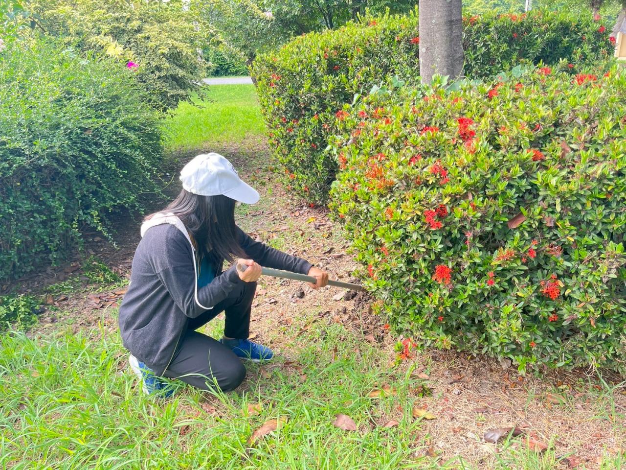 ภาพประกอบที่ 19