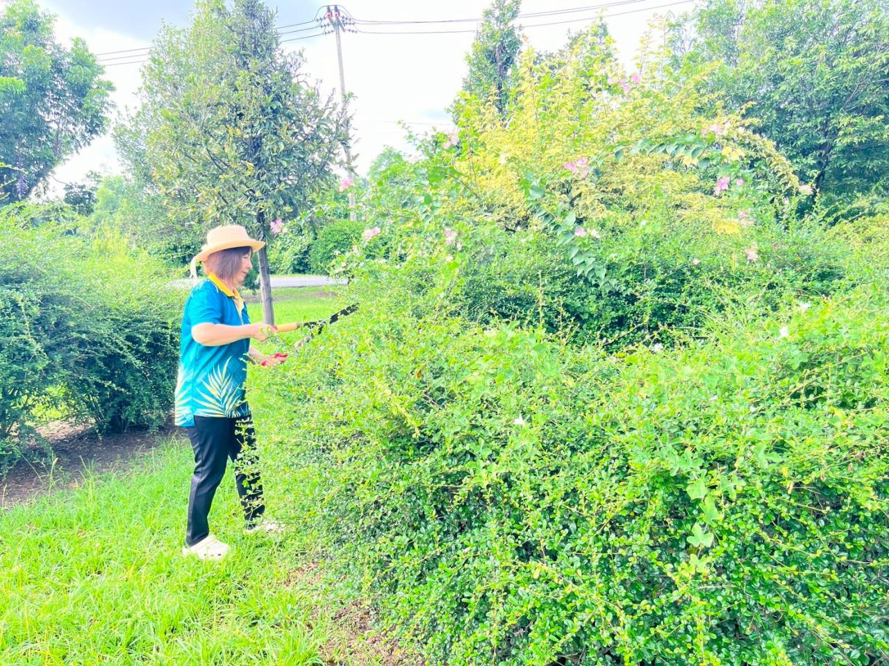 ภาพประกอบที่ 20