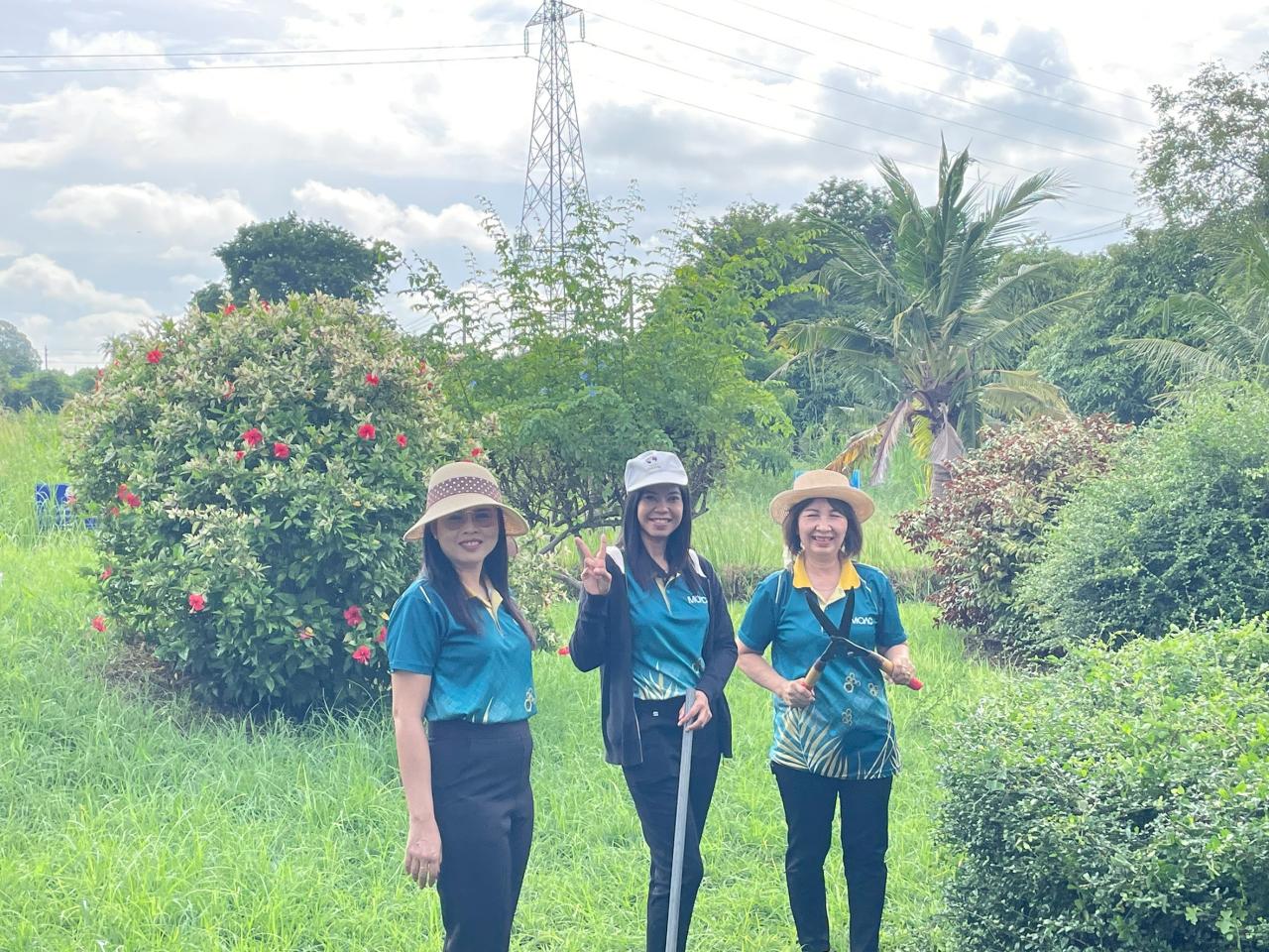 ภาพประกอบที่ 3