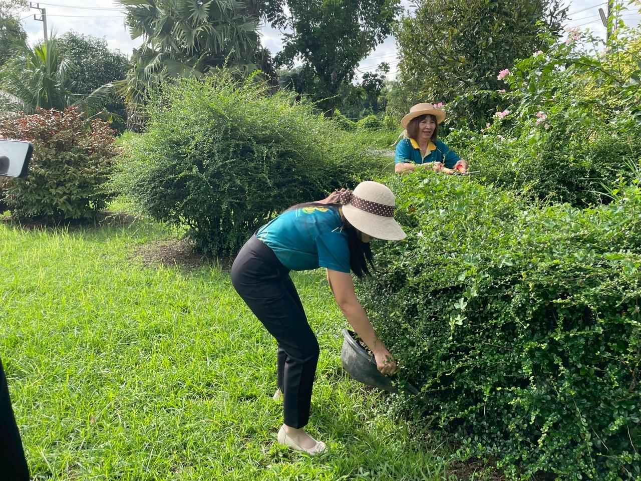 ภาพประกอบที่ 6