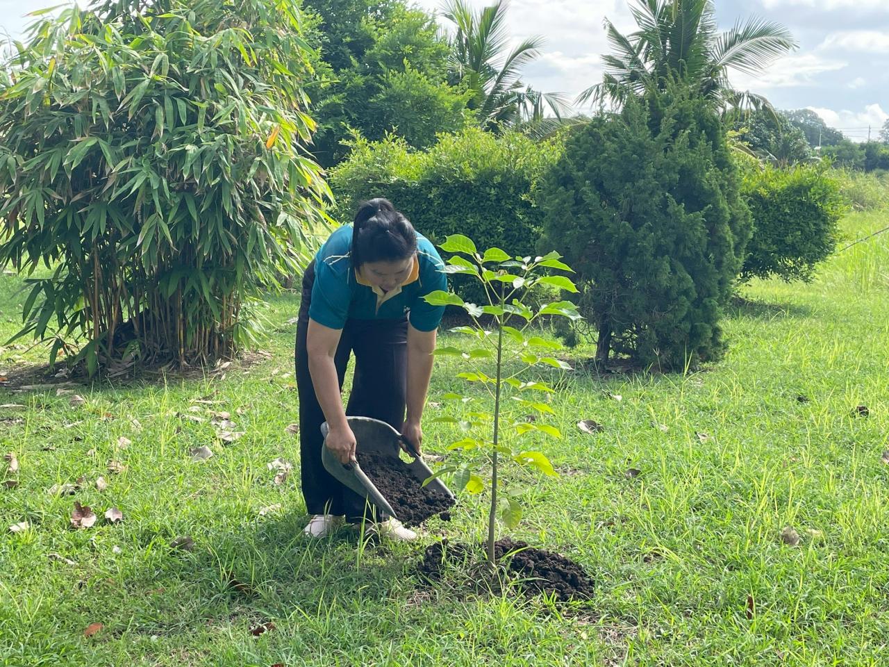 ภาพประกอบที่ 4