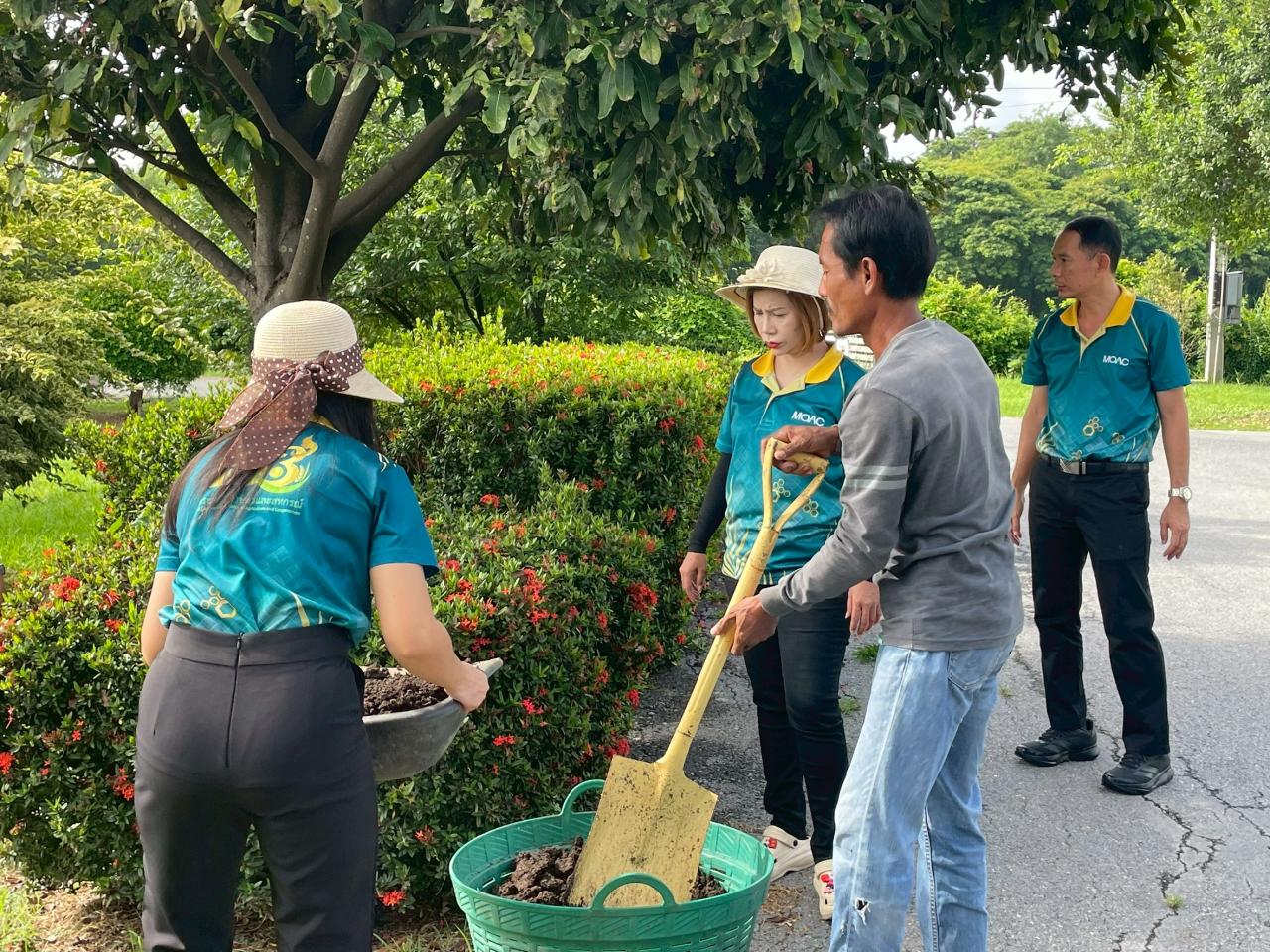 ภาพประกอบที่ 10