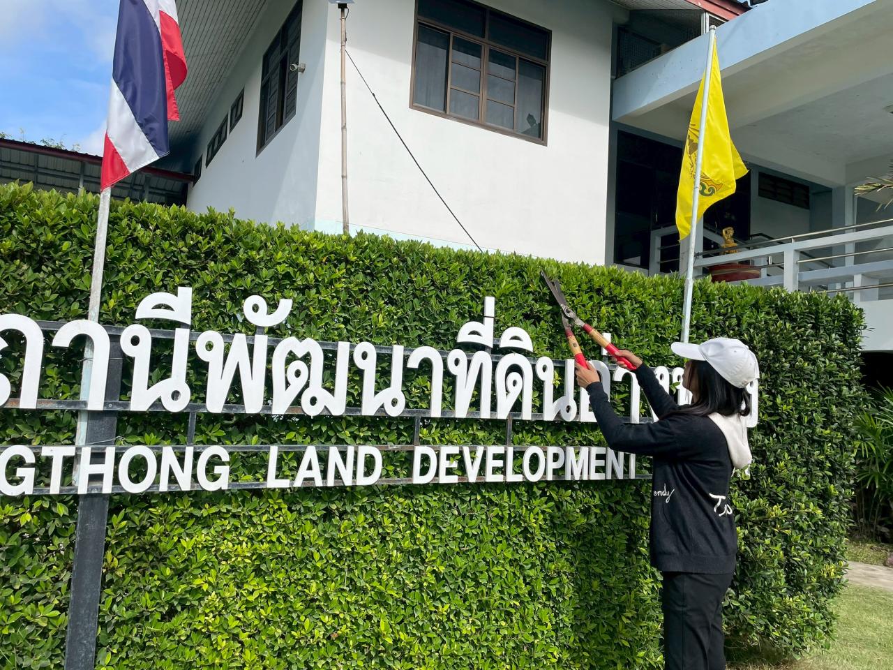 ภาพประกอบที่ 11