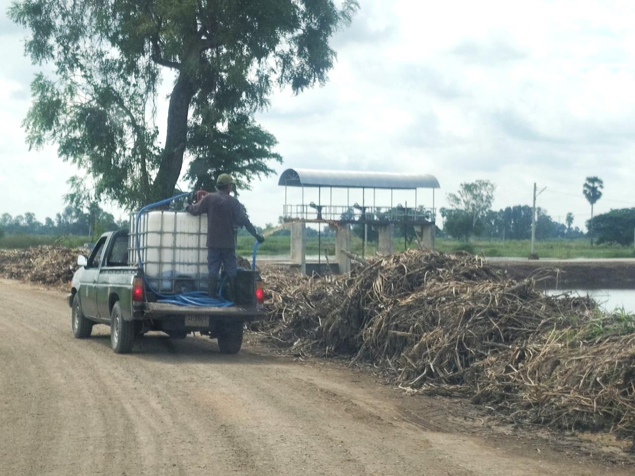 ภาพประกอบที่ 2