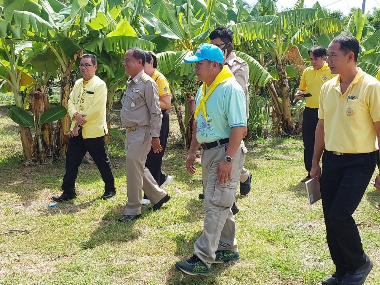 ภาพประกอบที่ 3