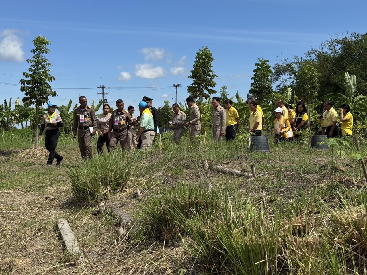 ภาพประกอบที่ 5