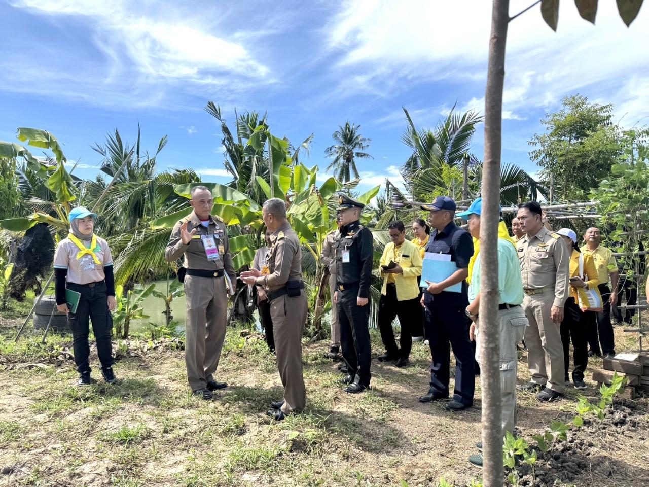 ภาพประกอบที่ 7