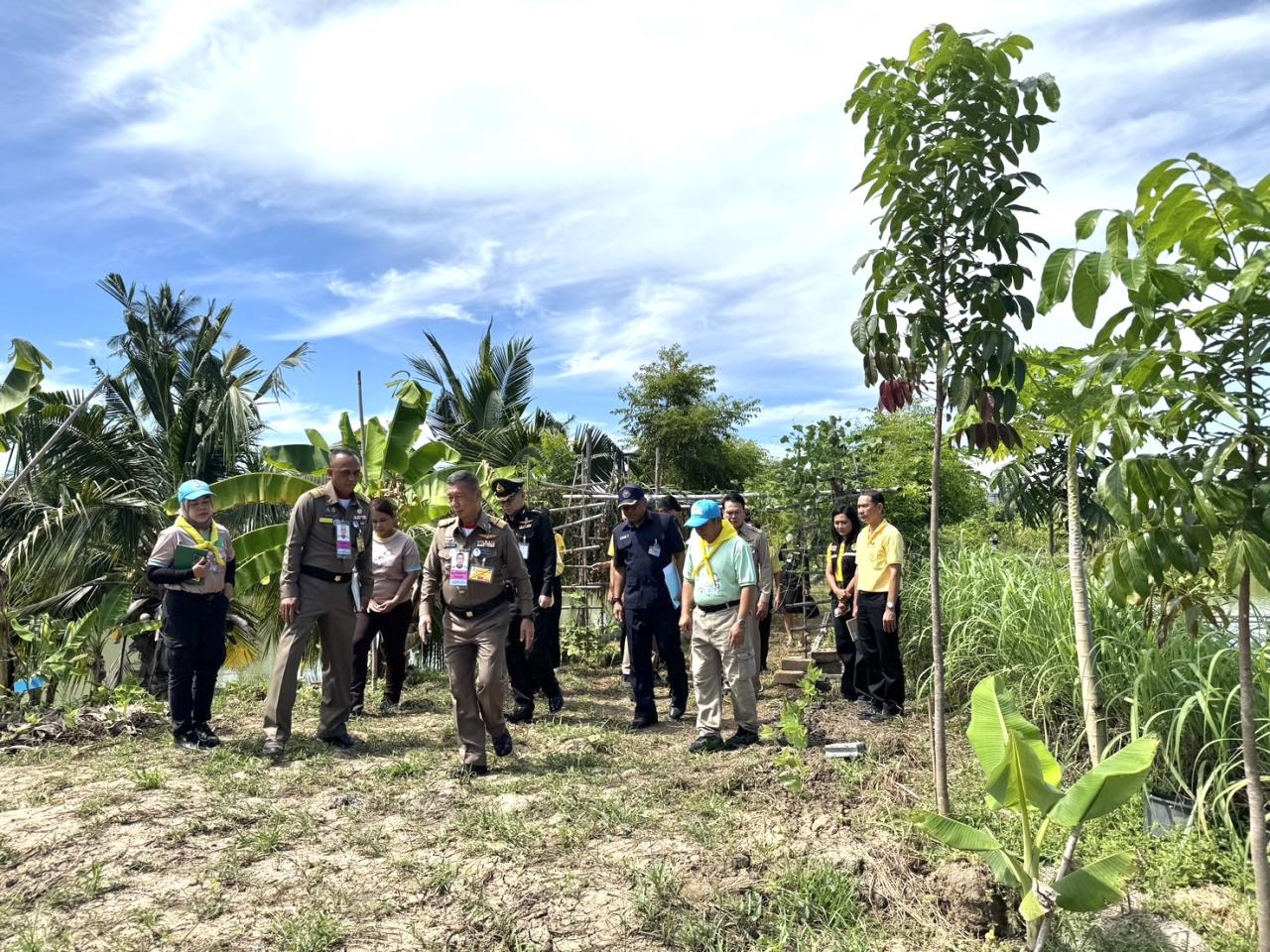 ภาพประกอบที่ 8