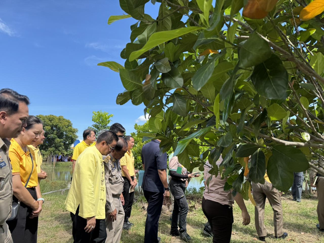 ภาพประกอบที่ 11