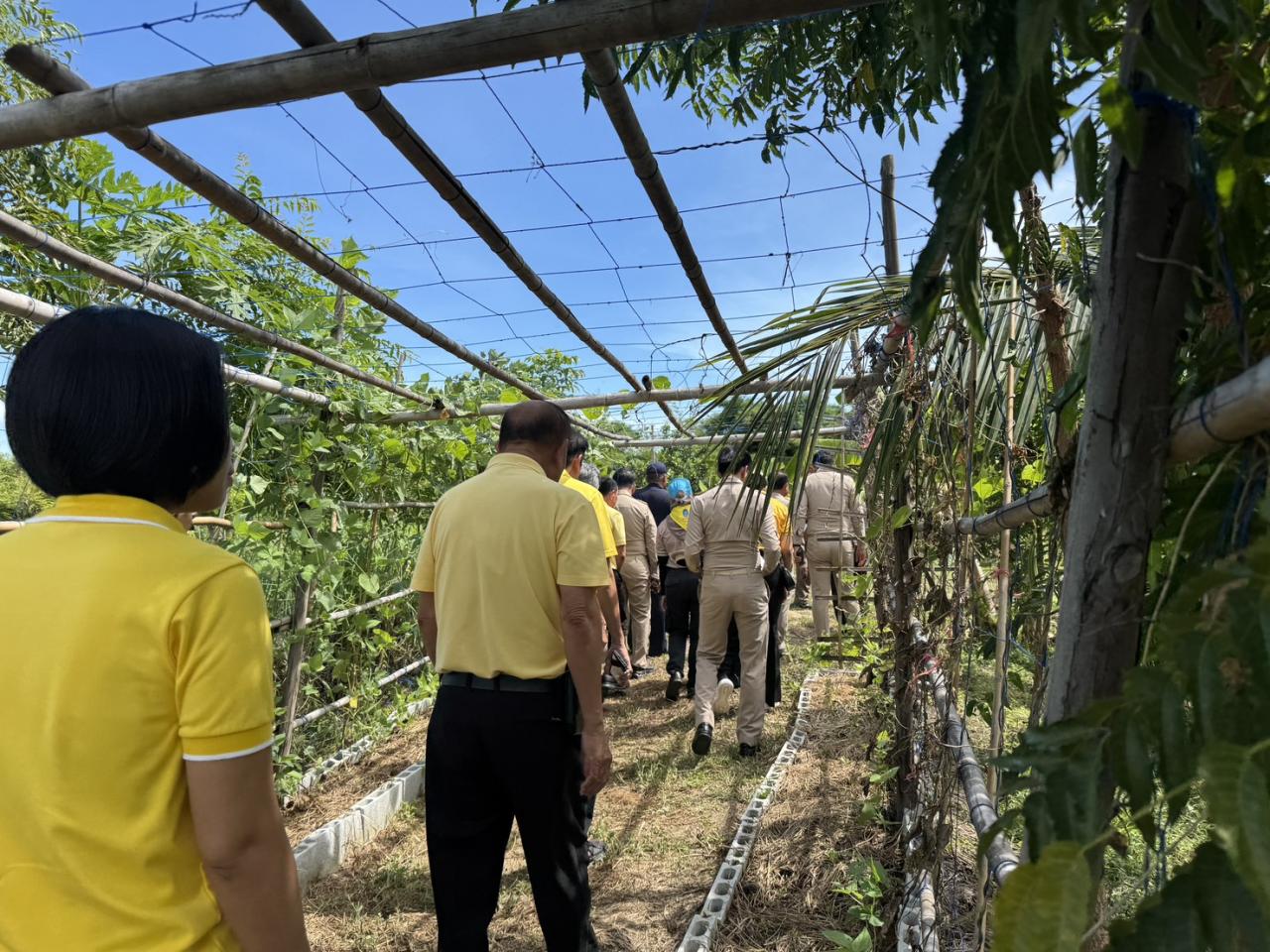 ภาพประกอบที่ 12