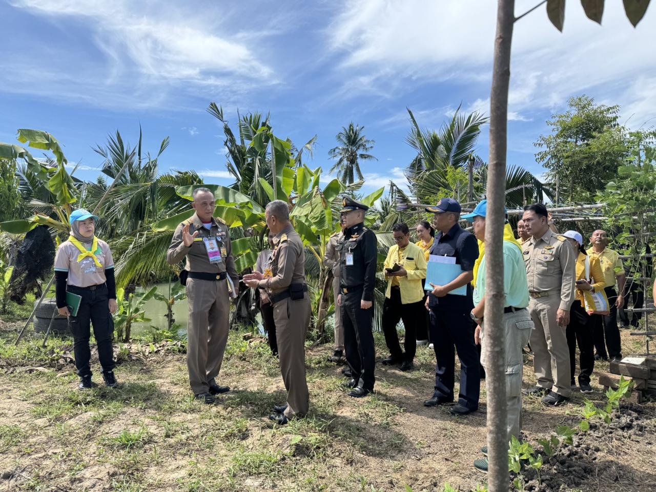 ภาพประกอบที่ 13