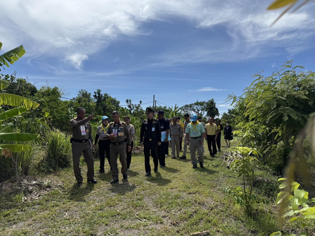 ภาพประกอบที่ 14