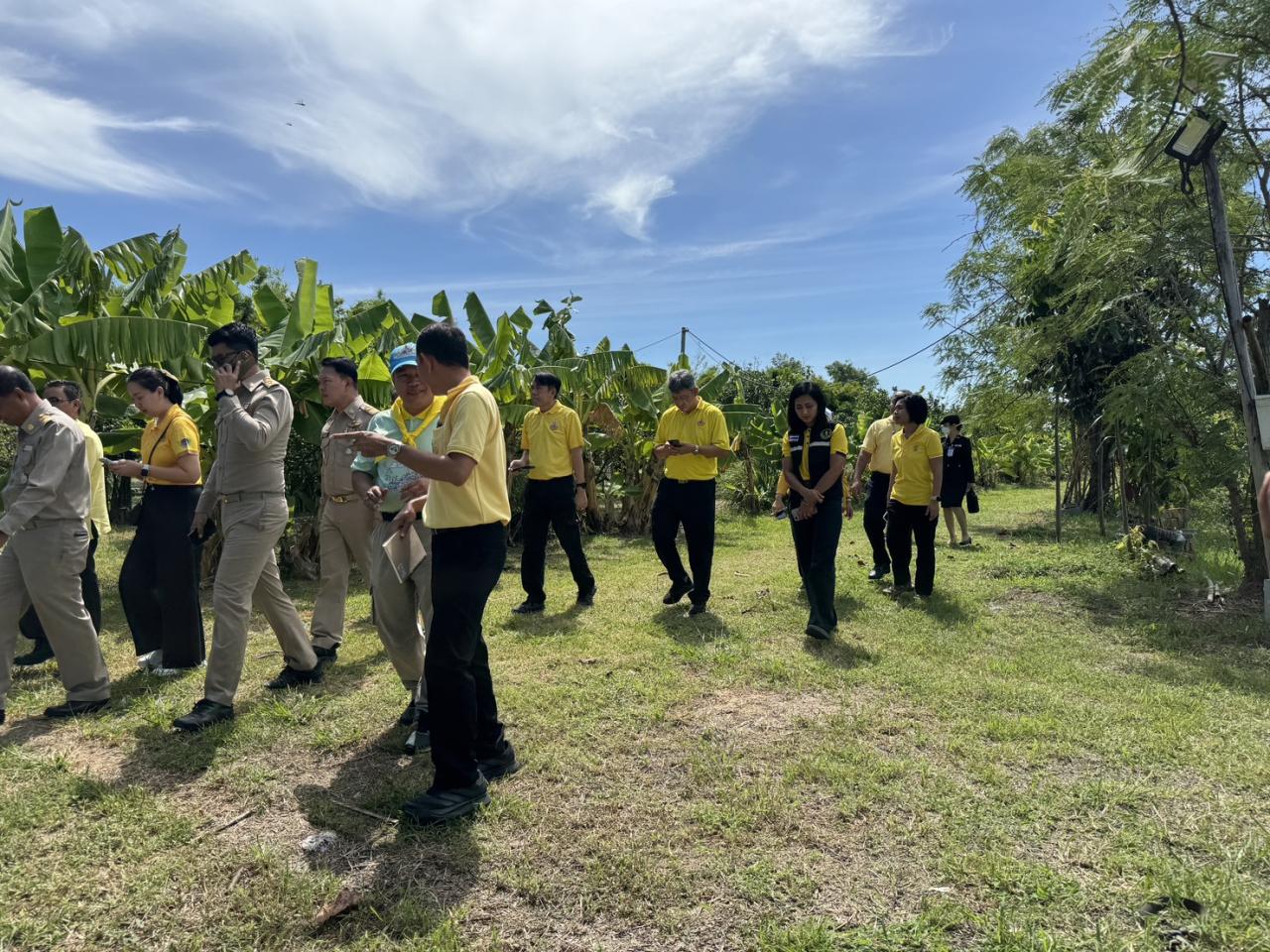 ภาพประกอบที่ 15