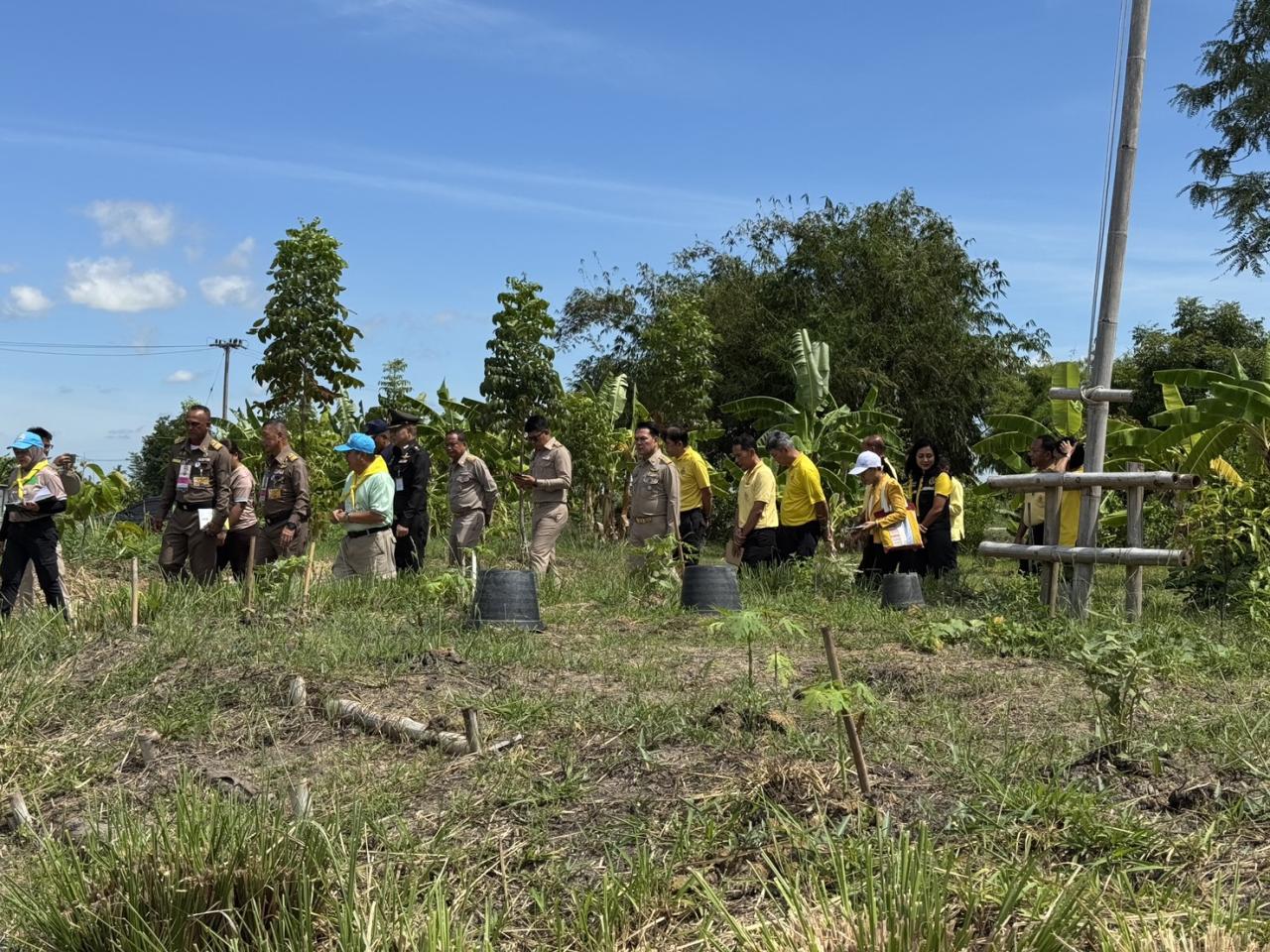 ภาพประกอบที่ 16