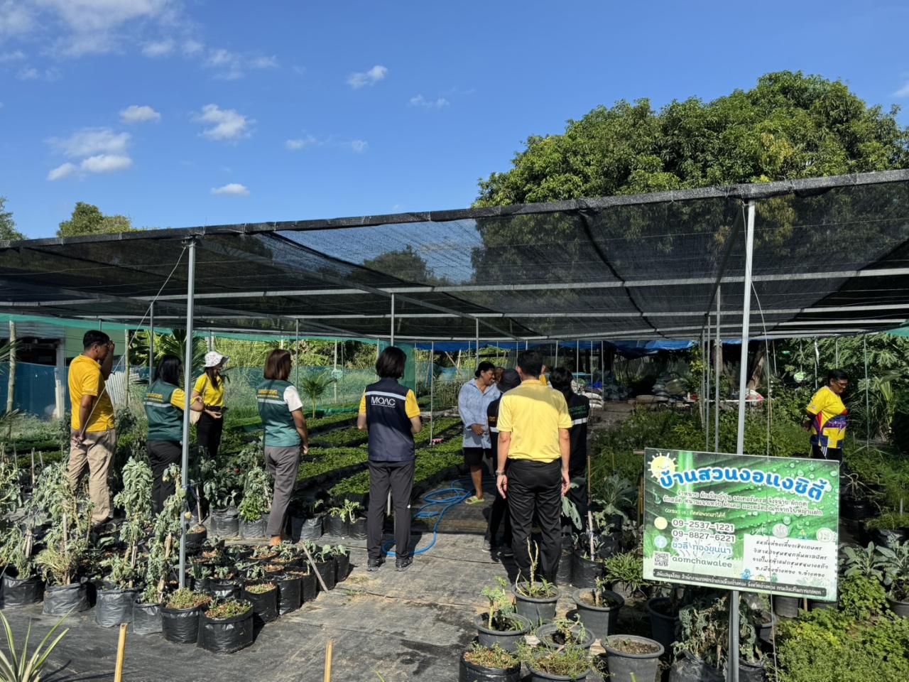 ภาพประกอบที่ 0