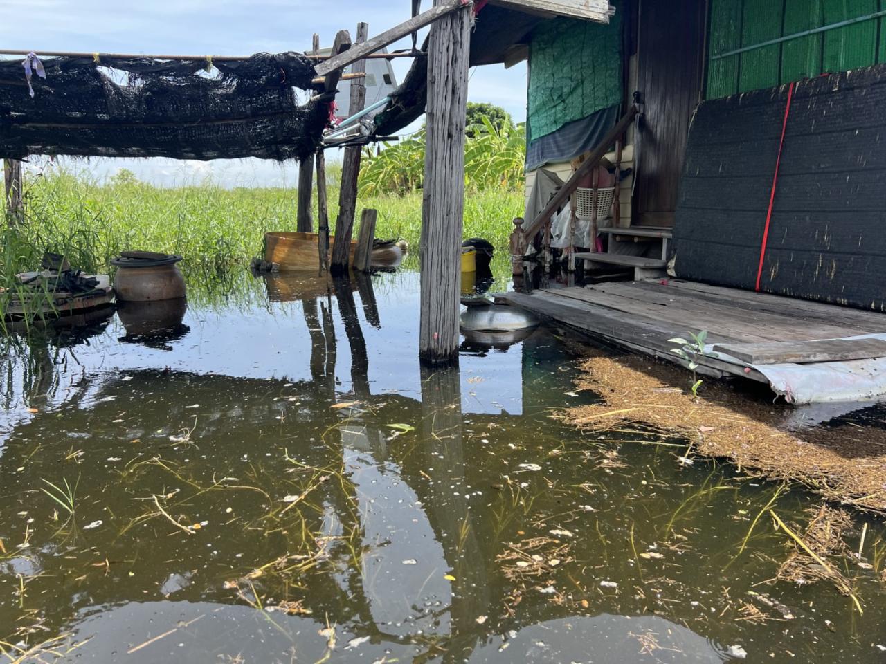 ภาพประกอบที่ 4