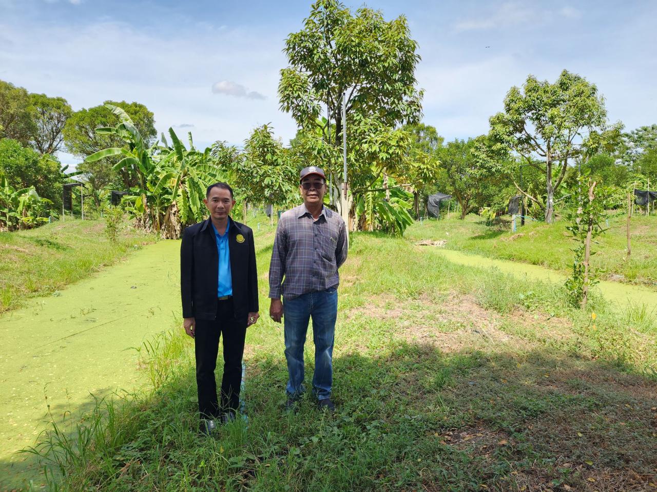 ภาพประกอบที่ 0
