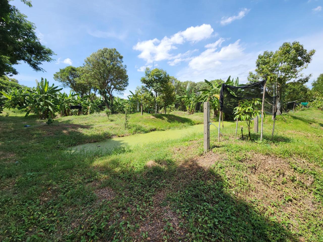 ภาพประกอบที่ 5