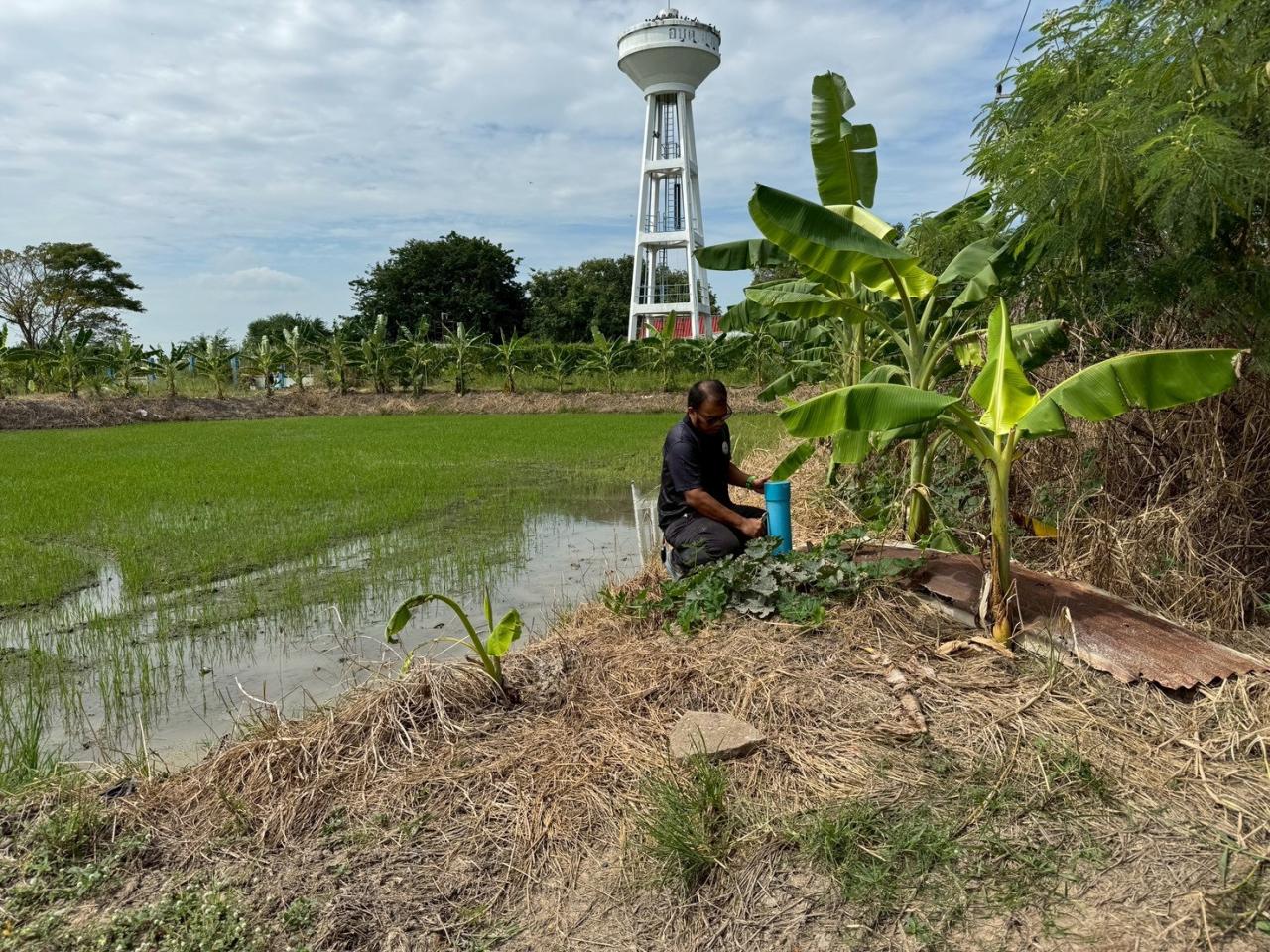 ภาพประกอบที่ 4