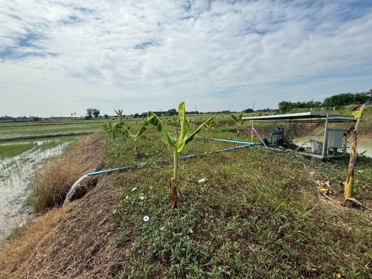 ภาพประกอบที่ 5