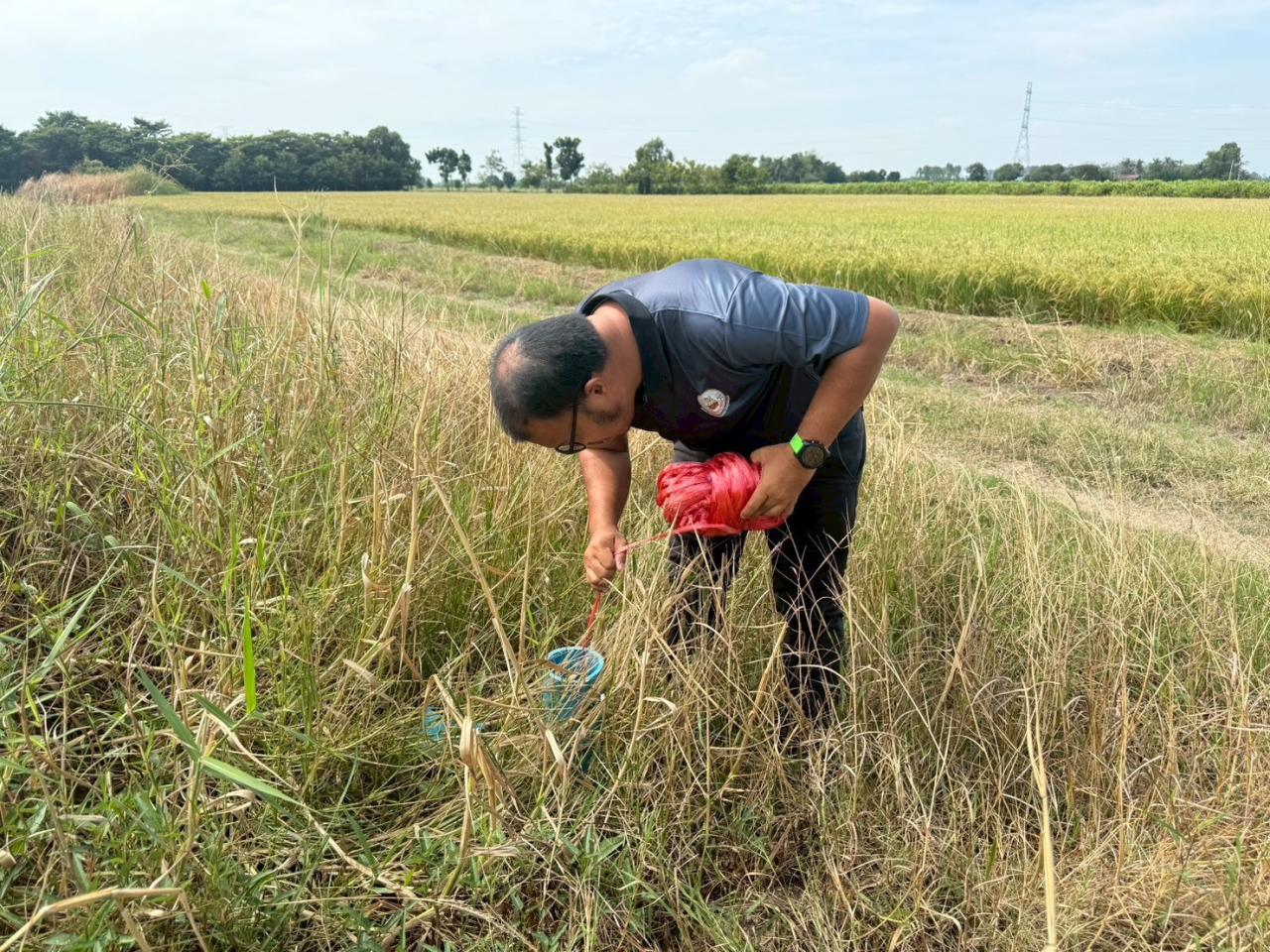 ภาพประกอบที่ 6