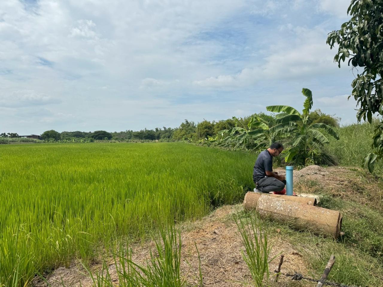ภาพประกอบที่ 8