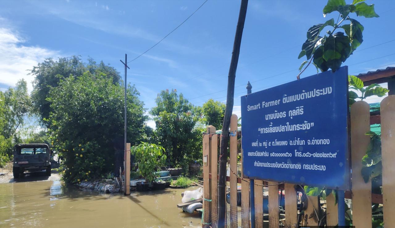 ภาพประกอบที่ 1