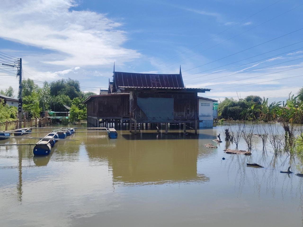 ภาพประกอบที่ 2