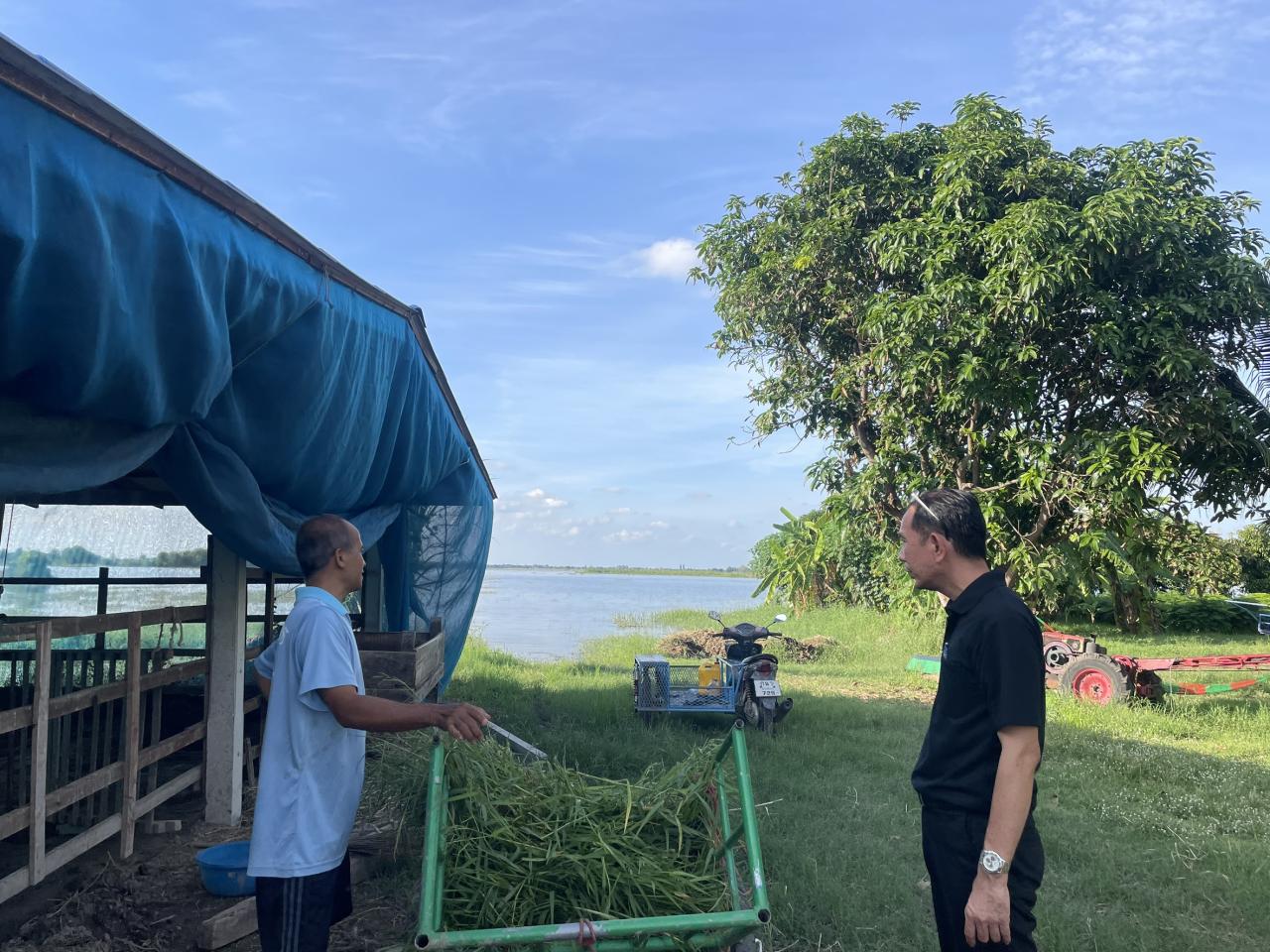 ภาพประกอบที่ 0