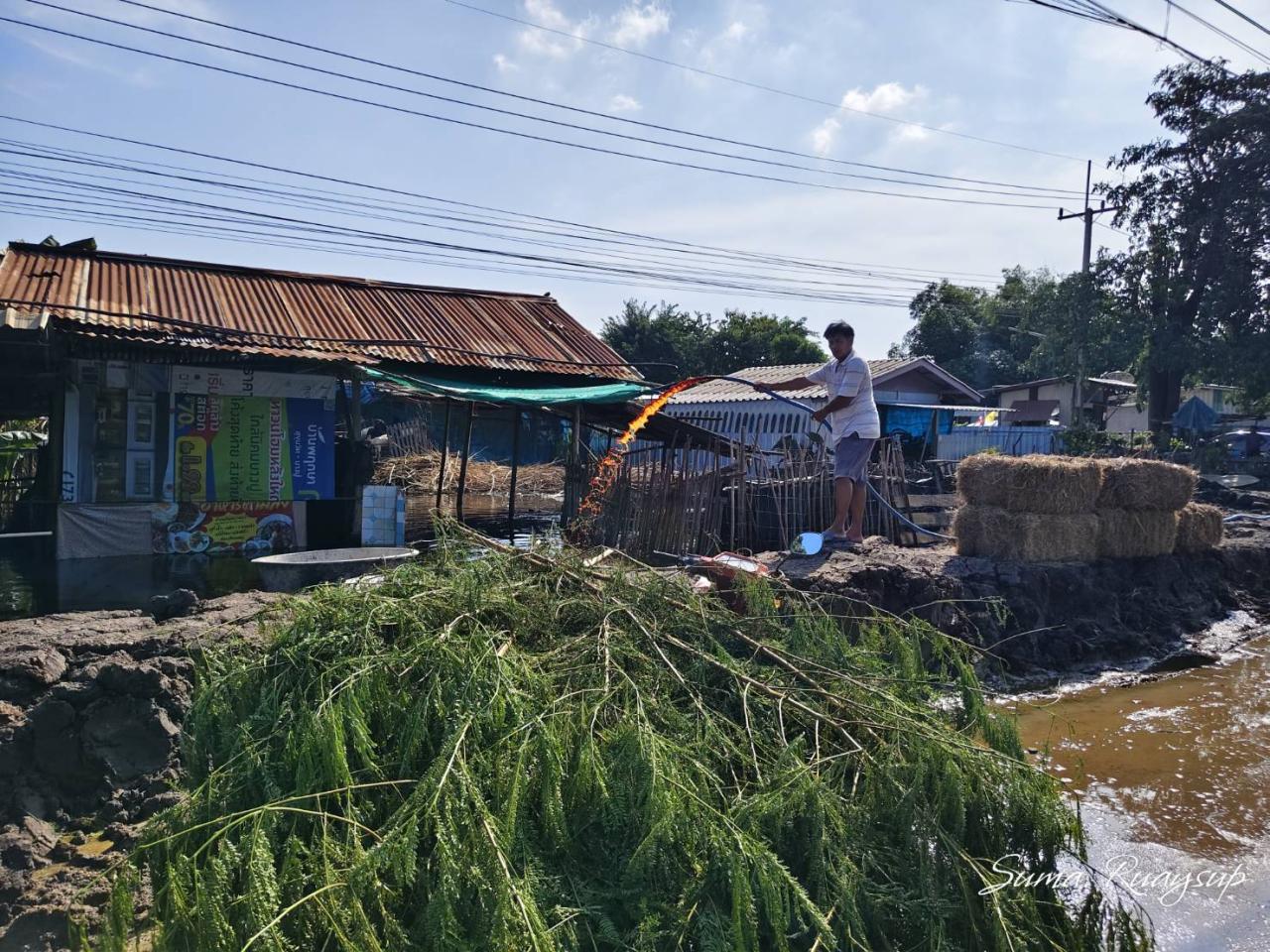 ภาพประกอบที่ 3