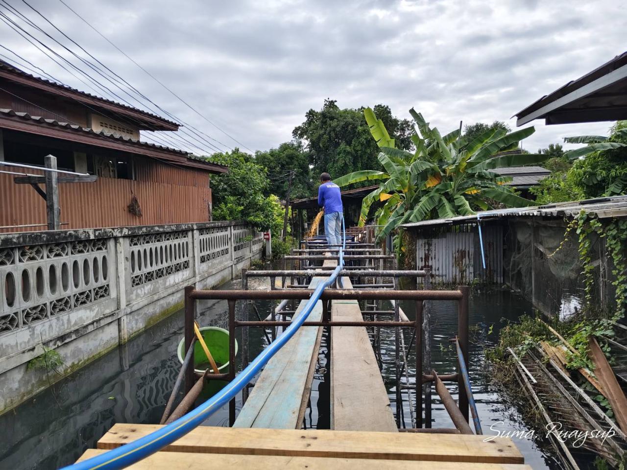 ภาพประกอบที่ 3