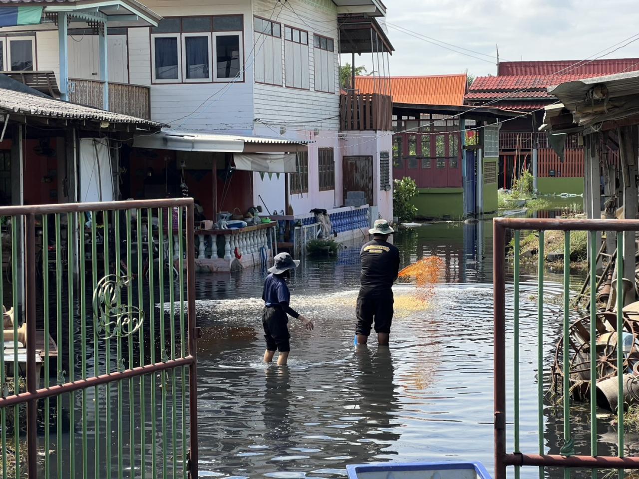 ภาพประกอบที่ 4