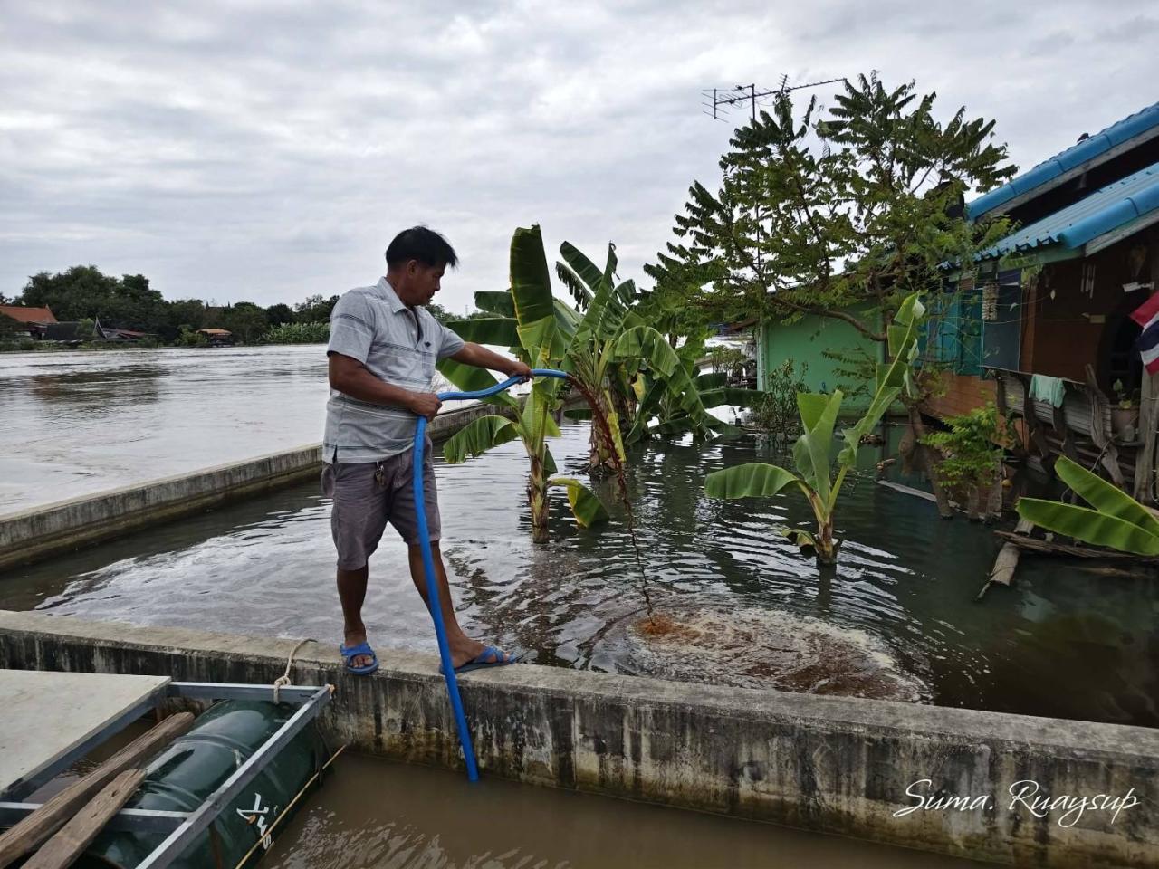 ภาพประกอบที่ 5