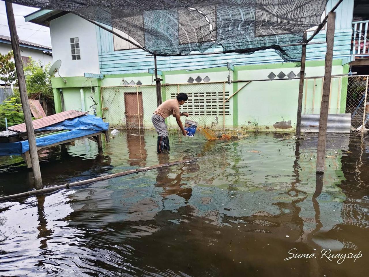 ภาพประกอบที่ 1