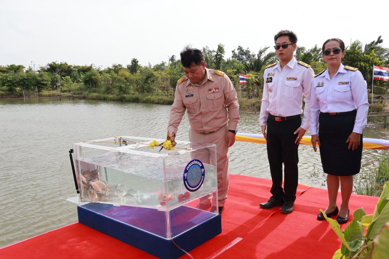 ภาพประกอบที่ 0