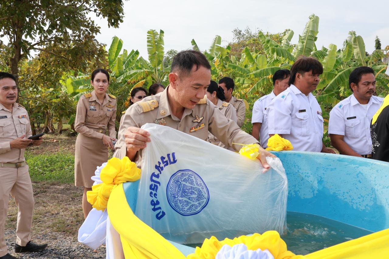 ภาพประกอบที่ 1