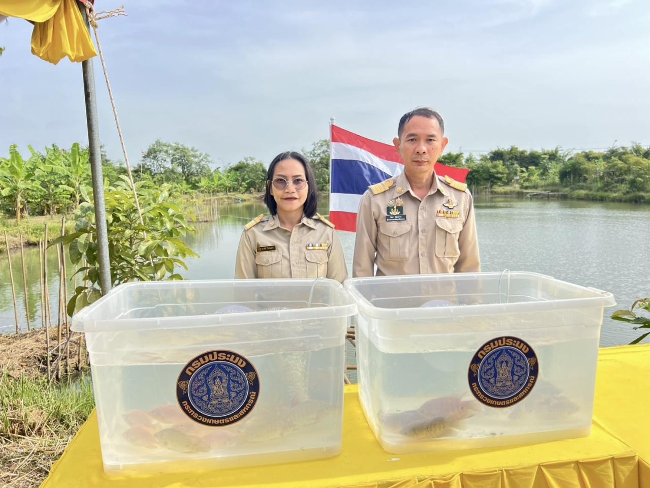 ภาพประกอบที่ 2