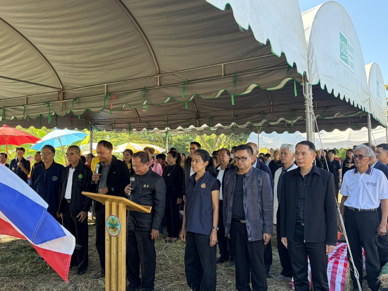 ภาพประกอบที่ 12