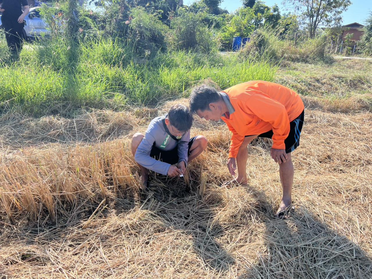 ภาพประกอบที่ 5