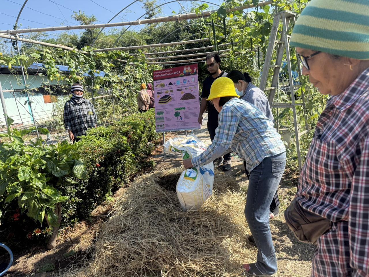 ภาพประกอบที่ 1