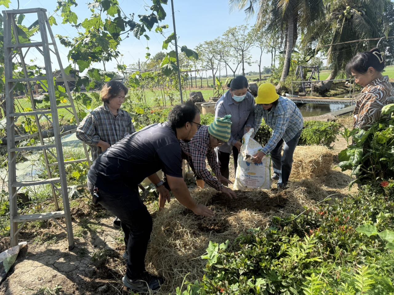 ภาพประกอบที่ 2