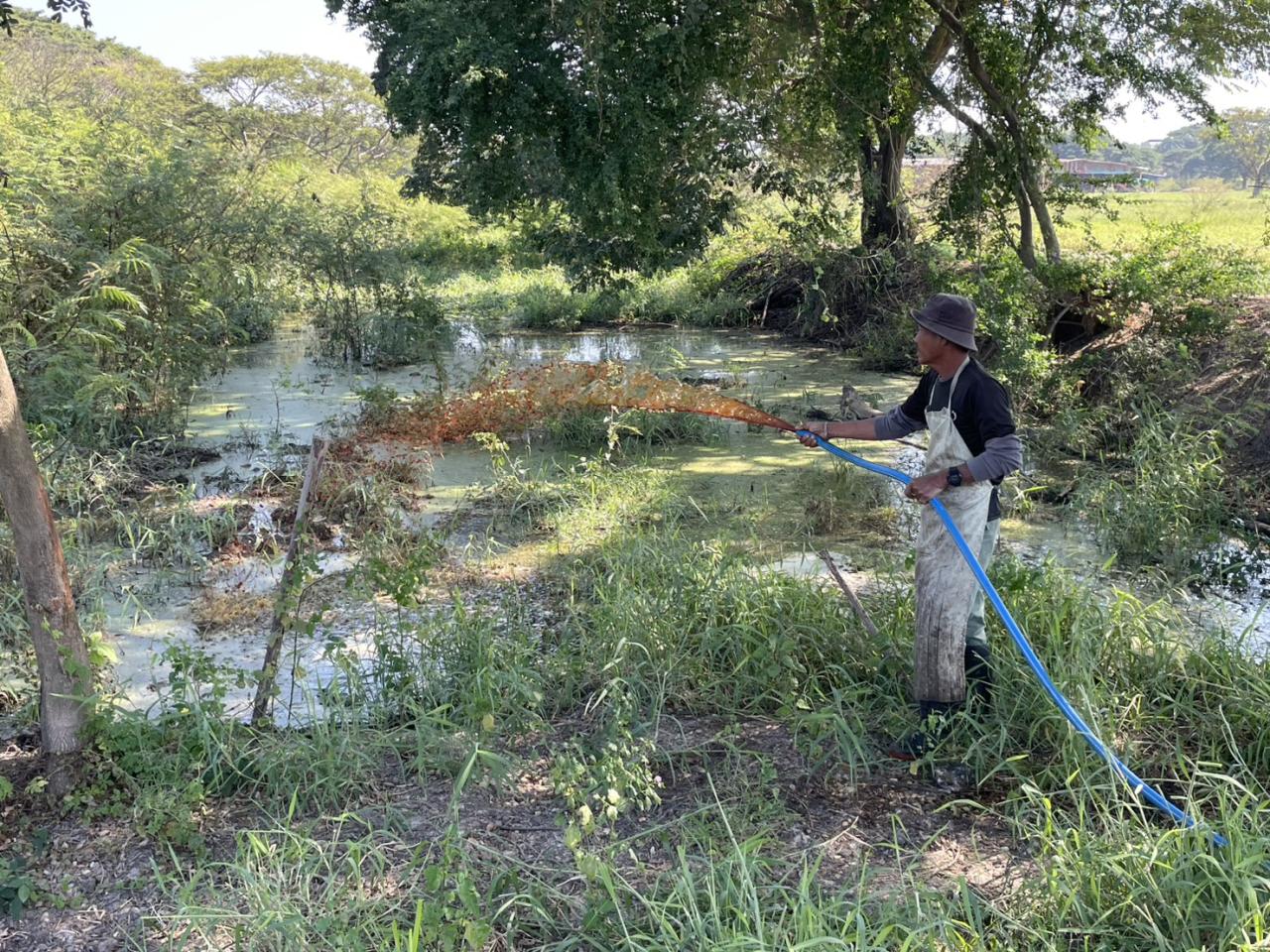 ภาพประกอบที่ 0