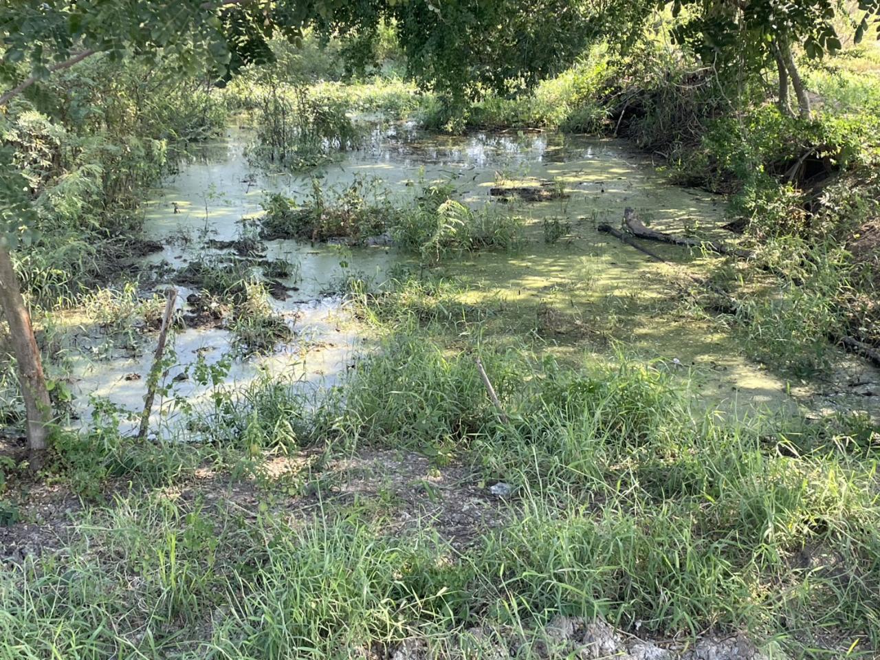 ภาพประกอบที่ 6