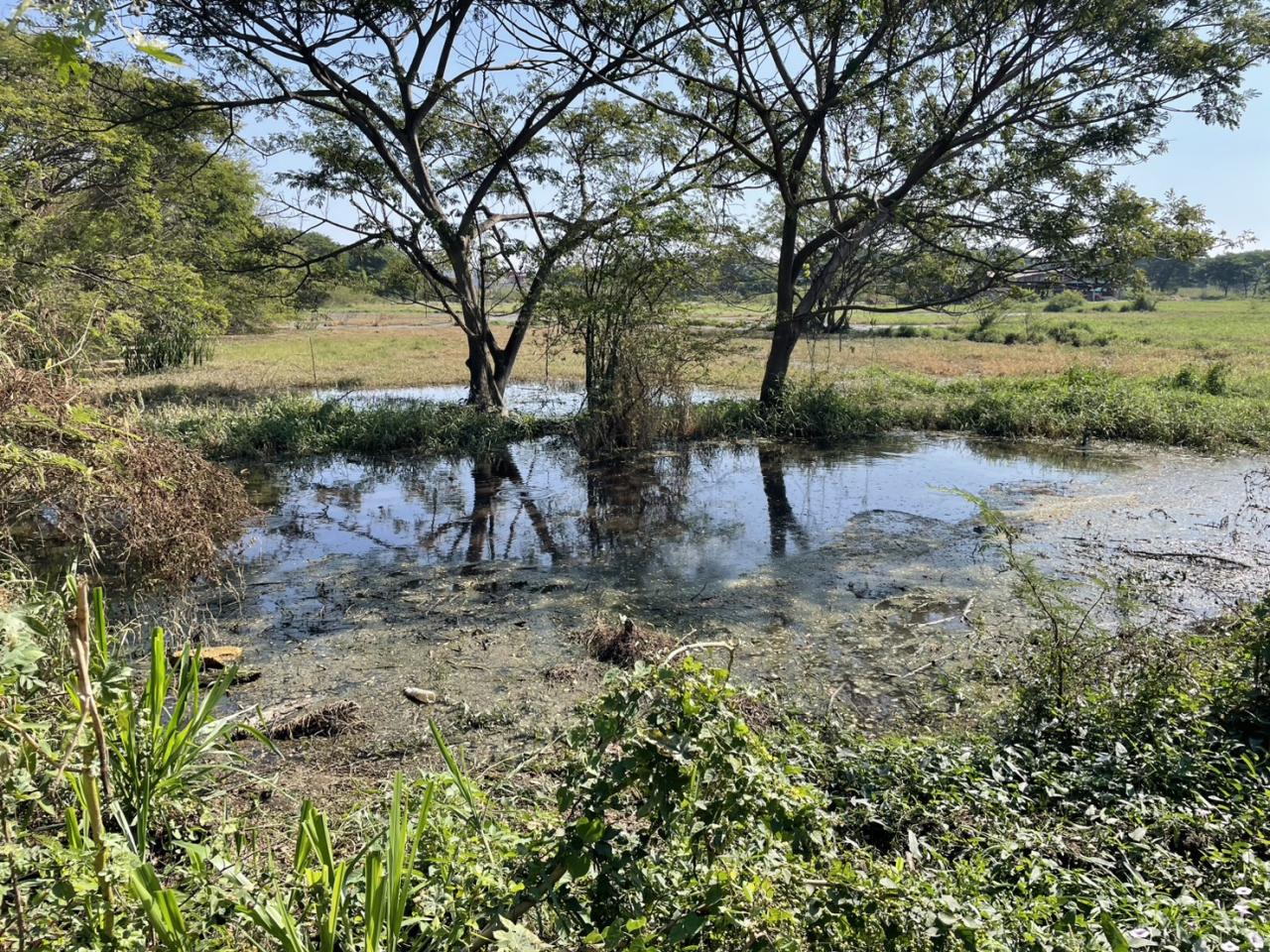 ภาพประกอบที่ 7