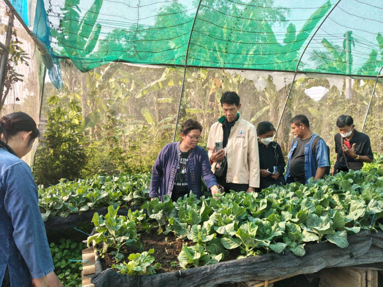 ภาพประกอบที่ 6